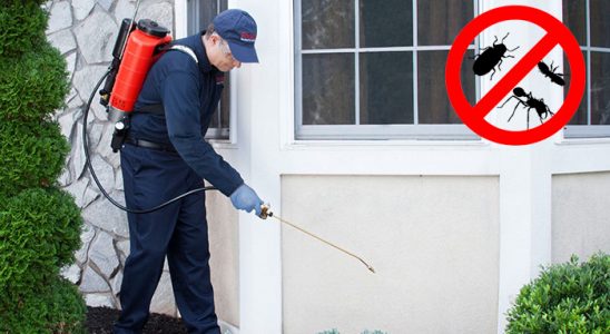 Tufanbeyli Hamam Böceği İlaçlama böcek ilaçlama ve haşere kontrolü — ilaclama-tr.com